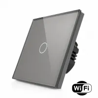 R-T601SW-GR